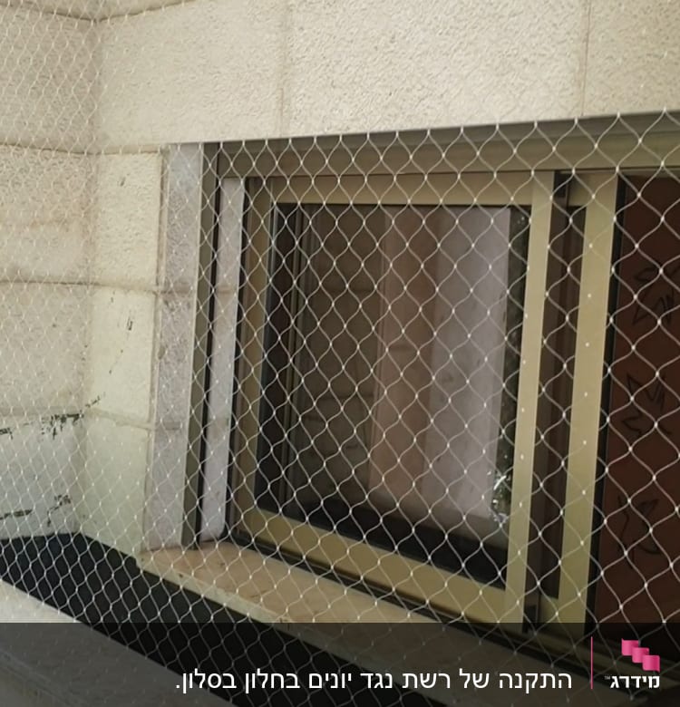 רשת מתכת מותקנת על חלון למניעת כניסת יונים